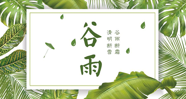 金盛木業 | 谷雨春季的最后一個節氣